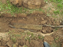 Vykopávání vzorků se semeny z půdy na pokusném pozemku Botanického ústavu Akademie věd ČR v Průhonicích. Foto L. Moravcová