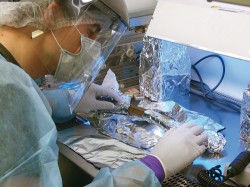Extrakce archaické DNA v laboratoři (J. Krause, Max-Planck-Institut für evolutionäre Anthropologie, Lipsko).  Foto J. A. Svoboda