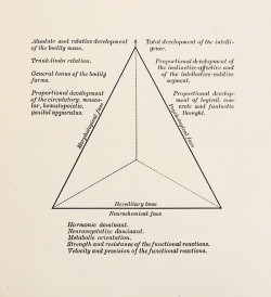Graf komplexity biotypu  podle italského endokrinologa  a předního představitele biotypologické teorie Nicoly Pendeho (1880–1970).  Foto: Constitutional Inadequacies (N. Pende, Philadelphia 1928;  obr. 10 a 12 laskavostí J. Musila)