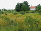 Některé zajímavé lokality motýlů v národním parku Podyjí – step u Popic.  Základem pestrosti vegetace a druhové skladby motýlů je geologická stavba  území – v západní části převládají ruly, ve střední části svory a vápence,  na východě granity a mladší sedimenty.  Na říční údolí v délce 40 km, které  zůstalo minimálně narušené lidskou  činností, navazují unikátní suché i svěží až vlhké biotopy. Foto M. Švestka
