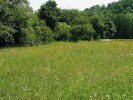 Některé zajímavé lokality motýlů v národním parku Podyjí – nivní louka pod Šobesem.  Základem pestrosti vegetace a druhové skladby motýlů je geologická stavba  území – v západní části převládají ruly, ve střední části svory a vápence,  na východě granity a mladší sedimenty.  Na říční údolí v délce 40 km, které  zůstalo minimálně narušené lidskou  činností, navazují unikátní suché i svěží až vlhké biotopy. Foto M. Švestka
