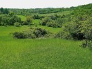 Některé zajímavé lokality motýlů v národním parku Podyjí – mozaikovitá krajina u Hnanic. Základem pestrosti vegetace a druhové skladby motýlů je geologická stavba  území – v západní části převládají ruly, ve střední části svory a vápence,  na východě granity a mladší sedimenty.  Na říční údolí v délce 40 km, které  zůstalo minimálně narušené lidskou  činností, navazují unikátní suché i svěží až vlhké biotopy. Foto M. Švestka
