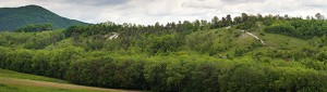 Národní přírodní památka Bílé stráně u Pokratic s vrchem Bílá stráň (356 m n. m.). Již z dálky je vidět obnažení slínového podloží. Foto K. Horáček