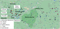 Výskyt bělozubky tmavé (Crocidura russula) zjištěný na Chebsku v r. 2022 – 14 jedinců na 5 lokalitách. Vyznačeny jsou i nálezy dalších druhů rejskovitých (Soricidae) během výzkumu hybridní zóny myši domácí (Mus musculus; viz přerušovaná modrá linie na mapě). Převzato a upraveno podle: J. Goüy de Bellocq a kol. (2023)