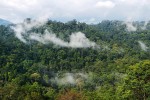 Žár poledního slunce vede k intenzivnímu odparu a odpoledním srážkám. Ulu Temburong, Brunej, Borneo. Foto P. Kočárek