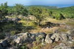 Bulharská Strandža, poslední  výběžek Balkanid, kam zasahují anatolské nebo blízkovýchodní druhy jako  štíhlovka obojková (Platyceps collaris). Foto D. Jablonski