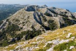 Jižní části Dinarid a pohoří Biokovo jsou domovem mnohých druhů plazů, včetně endemické ještěrky mosorské (Dinarolacerta mosorensis). Foto D. Jablonski