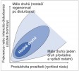 Závislost počtu druhů na produktivitě prostředí a frekvenci nebo intenzitě  disturbancí. Větší počty druhů znázorňuje tmavší odstín modré barvy. Pokud je  produktivita prostředí malá a frekvence nebo intenzita disturbance velká (vlevo nahoře), většina druhů nestačí obnovovat biomasu odstraněnou disturbancí a z porostu mizí – taková společenstva jsou druhově chudá. V případě velké produktivity a málo časté nebo jen mírné disturbance (vpravo dole) v porostu  převládne jeden konkurenčně silný  druh, který vytlačí druhy ostatní.  Nejvíc druhů se vyskytuje v místech  se střední produktivitou a střední mírou disturbance. Jsou-li tyto dva faktory v rovnováze, biomasa odstraněná  disturbancí stačí dorůstat, ale současně je znemožněn rozvoj silných dominant. Upraveno podle: M. Huston (1979)