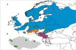 Schematická mapa rozšíření zmije obecné (Vipera berus) v evropské části jejího areálu (obr. a). Barvy oblastí korespondují se třemi hlavními genetickými větvemi: oranžová – italská (alpská) větev, fialová – balkánská větev, modrá – severní větev (viz obr. 3). Barvy lokalit vzorků použitých ke genetické analýze odpovídají  jednotlivým liniím v rámci severní větve (růžová – západní linie, žlutá – karpatská linie, šedá – východní linie, zelená – středo­evropská „linie“). Znázorněné lokality podle materiálu S. Ursenbachera a kol. (2006), původ vzorků italské  a balkánské větve není zobrazen. Původ veškerého materiálu zmijí z České republiky zahrnutého do genetické  analýzy (obr. b). Část vzorků pochází z publikovaných prací (Ursenbacher a kol. 2006, Gvoždík a kol. 2012),  studovaní jedinci ze Šumavy a Karlových Varů jsou zde do analýzy zahrnuti poprvé. Orig. J. Šmíd 