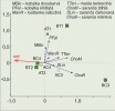 Diagram mnohorozměrných analýz vlivu seče na jednotlivé druhy a celé společenstvo rovnokřídlých (Orthoptera) a kudlanek. Čtverce značí plochy před sečí (B) a trojúhelníky po seči (A).  Světle zelená barva znázorňuje posečené plochy. Bod AT1 ukazuje zónu vyjmutou ze seče. Originál O. Kaláb