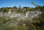 Strejčkův lom v Grygově u Olomouce – výskyt ještěrky zední zde byl  zaznamenán teprve v r. 2009, analýza  mitochondriální DNA ale zjistila v této populaci i zatím unikátní haplotyp. Foto M. Veselý