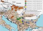 Rozšíření hlavních haploskupin  centrální balkánské linie ještěrky zední (Podarcis muralis). Východní část souvislého areálu druhu je znázorněna hnědou barvou, české lokality označeny šipkami. Podle: D. Jablonski a kol., v tisku