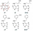 Chemické vzorce základních cytokininových bází: iP – N6-(∆2- izopentenyl)­-adenin, tZ – trans-zeatin, DHZ – dihydro­zeatin, oT – orto-topolin, mT – meta-topolin, BAP – 6-benzylaminopurin. Orig. O. Blahoušek