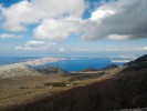Ukázka rozmanitosti stanovišť, kde se štíři rodu Euscorpius mohou  běžně vyskytovat. Přímořské oblasti. Snímek J. Plíškové.