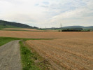 Poherbicidovaná krajina. U obce Řetová, okres Ústí nad Orlicí (květen 2020). Foto K. Prach
