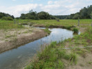 Obnova říčního toku a přilehlé části nivy říčky Stropnice v jižních Čechách – příklad vydařeného projektu. Stav v r. 2014. Foto K. Prach