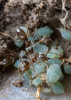 Na myrmekofilní druhy hmyzu narazíme převážně za chladnějšího jarního počasí, ale i na podzim. Mravenci rodu Lasius a jejich podzemní kolonie mšic. Foto P. Šípek