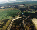 Požár v Záhorské nížině nedaleko Malacek, Slovensko (1992). Rozsahem stejně velký jako v národním parku České Švýcarsko, ovšem v dostupnějším terénu. Foto Správy Hasičského a záchranného sboru, Malacky (www.naza - hori.sk). Převzato z J. Hruška a kol. (2022)