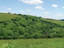 Současný vzhled Slovenského krasu je výsledkem dlouhodobého vlivu  člověka. Už od přelomu doby bronzové a železné zde měla krajina charakter mozaiky polí, luk, pastvin a malých lesů. Foto L. Juřičková