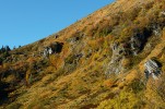 Boční pohled na mohutné kuželovité svahoviny pod kotlinovými skalami, na nichž se vyvíjejí synlitogenní půdy. Foto L. Bureš