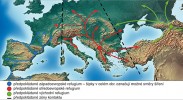Předpokládané šíření kudlanky nábožné z refugií v době po posledním glaciálu a místa styku zástupců jednotlivých linií druhu. Orig. J. Vitáček