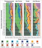 Vývoj postglaciální vegetace ve čtyřech vybraných regionech České republiky za posledních 12 tisíc let. Data byla získána prostřednictvím algoritmu kvantitativní rekonstrukce vegetace na základě produkce a transportu pylu kombinací několika sedimentárních záznamů. Upraveno podle: P. Kuneš a V. Abraham (2017)