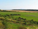 Středoevropská krajina – výsledek dlouhodobé interakce  přírody a člověka.  Úrodnou krajinu jižní Moravy  využívali první zemědělci již v neolitu před více než 7 tisíci lety. Foto R. Hédl