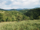 Charakter současné banátské krajiny v bezprostřední blízkosti vsi Svatá Helena. Foto P. Kovář