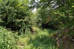 Pohled na lokalitu hlemýždě  pruhovaného ve východní Makedonii nedaleko Suvi Laki – příklad častého  biotopu druhu. Foto O. Korábek