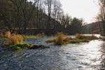 Řeka Svratka u Doubravníka. Foto H. Skořepa