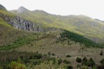 Fynbos zasažený invazí borovice montereyské (Pinus radiata), která se přirozeně vyskytuje v Kalifornii a Mexiku. Tento druh má tzv. serotinní šišky, které na stromě zůstávají i několik let neotevřené a otevírají se až při požárech v důsledku zvýšené teploty. Foto D. M. Richardson