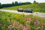 Přivaděč D1 Butovice, silnice II/464 Studénka-MÚK D1. Při ozelenění svahů v délce zhruba 1 200 m byly v r. 2011 použity domácí druhy rostlin, atraktivní pro motýly – nektarodárné druhy a živné rostliny housenek, jako dobromysl obecná (Origanum vulgare), chrpy (Centaurea spp.), třezalky (Hypericum spp.), čičorka pestrá (Securigera varia) aj. Foto R. Jarošek