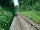 Železniční tratě mohou napomáhat šíření (viatická migrace) netýkavky podobně jako řeky. Foto J. Čuda