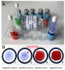 Příklad přímé aglutinace – CATT test (Card Agglutination Test for Trypano­soma gambiense) pro průkaz protilátek  při spavé nemoci. Sada potřeb pro test (a) a výsledek testu (b) – vznik aglutinátů trypanozom v přítomnosti protilátek označují šipky. Foto E. Nohýnková