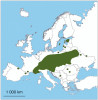 Rozšíření kohátky kalíškaté v Evropě. Upraveno podle: Agentura ochrany přírody a krajiny ČR (2011). Orig. R. Bošková