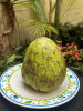 Ovoce chirimoya (Annona cherimola Mill.) si T. Haenke v Peru natolik oblíbil, že o něm napsal v dopise z 5. června 1790 svému profesorovi, Ignáci von Bornovi, do Vídně. Foto A. G. V. Zerpa