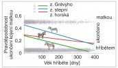 Pravděpodobnost, že kojení ukončí matka (neukončí ho samo hříbě),  v závislosti na věku a druhu zebry. Orig. J. Pluháček
