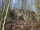 Zbraš̌ovské́ aragonitové́ jeskyně u Teplic nad Bečvou. V jeskyních a v půdě v jejich okolí žije skrytě  drobnulka zemní (Geoglomeris sub­terranea). Foto O. Machač̌