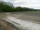Rybník Podhradský u Hluboké nad Vltavou dlouhodobě slouží k odchovu kapřího plůdku, a proto se téměř každoročně letní. Kvůli odpadním vodám, které do něj putují z okolních domácností,  je hospodaření na něm značně problematické, a tak se dno pravidelně vápní,  v sušších letech i kypří branami a osévá obilím (jaro 2007). Přesto tento rybník hostí populaci puchýřky útlé čítající mnoho set tisíc jedinců. Foto K. Šumberová