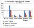 Chovní samci a jejich mláďata. Orig. D. Holečková