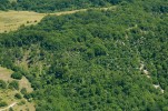 Paseky jsou v krajině méně  nápadné, protože mají rozmanité tvary,  jejichž hranice kopírují terénní prvky,  a ponechávané výstavky vytvářejí dojem řídkého lesa. V centrální části snímku  lze vidět paseku asi 7 let po těžbě,  v levé části je paseka stará přibližně tři roky. Snímek F. Máliš