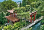 Optimální přírodní podmínky v Jardim Tropical Monte Palace ve Funchalu umožňují pěstovaným druhům obří růst. Foto M. Kuklík