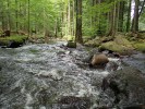 Klabava nad Strašicemi v chráněné krajinné  oblasti Brdy má místy charakter balvanité  horské bystřiny,  ale kvůli malé  nadmořské výšce  v ní vysloveně horské druhy bezobratlých nežijí. Foto J. Dobiáš