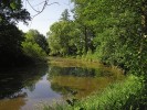 PCHP Rameno u Stříbrného rybníka. Foto R. Prausová