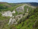 Dušičková stěna a Dlouhá skála při pohledu z Květné v NPR Karlštejn ukazují krajinnou mozaiku, kdy je divočina reprezentována jak lesem, tak skalní stepí v bezprostřední blízkosti. Foto V. Ložek jun.