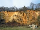 Pukliny čistých vápenců v Solvayově lomu v Českém krasu jsou vyplněny oranžově zbarvenými odvápněnými  tropickými sedimenty. Taková stanovištní diverzita se projeví i na výskytu  měkkýšů, kteří podobné nevápnité kapsy zcela míjejí. Foto L. Juřičková