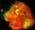 Buňka mixotrofního nálevníka s pohlcenými fluorescenčně značenými bakteriemi, což jsou žluté  fluoreskující malé buňky, které se přidávají v malé proporci do přírodního  bakterioplanktonu jako „stopovač“  rychlosti příjmu bakteriálních buněk. Protože jde o mixotrofní prvoky, tedy mikroorganismy kombinující příjem  partikulované potravy – bakterie – a současně fotosyntézu podobně jako řasy,  při použití vlnové délky 530 nm v epifluo­rescenčním mikroskopu v pozadí červeně prosvítají i chloroplasty uložené  v cytoplazmě buněk těchto prvoků. Foto K. Šimek