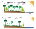 Změny vegetace v oblastech mírného pásu v obdobích anoxických událostí. A – při převažujícím velmi teplém a vysoce humidním klimatu se dařilo jehličnatým lesům s menším podílem krytosemenných rostlin. B – pulzy ochlazení v rámci OAE podmínily vznik otevřenější krajiny s vegetací savanového typu a převahou krytosemenných (pyl typu Normapoles); Araucariaceae (a), ostatní jehličnany (b), Cupressaceae (c), krytosemenné včetně forem produkujících pyl typu Normapoles (d), kapradiny (e). Upraveno podle: U. Heimhofer a kol. (2018),  s laskavým souhlasem