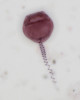 Pelagovorticella natans – všežravý nálevník, konzumující potravní částice od velikosti bakterií do asi 5–6 μm. Vyznačuje se zejména vysokou rychlostí příjmu bakterií. Podle: K. Šimek a kol. (2019)