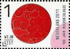 Kvasinka pivní (Saccharomyces cerevisiae). Z pamětního aršíku ke 100. výročí Nizozemské mikrobiologické společnosti. Snímek z archivu A. Novákové